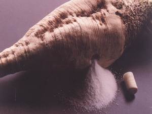 Where Sugar Comes From