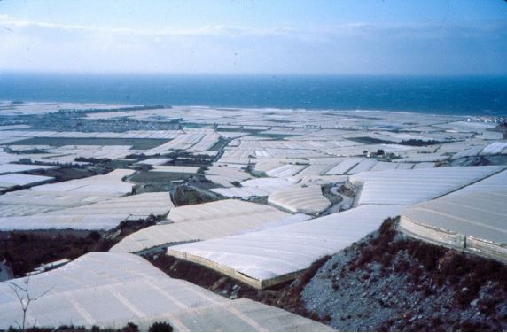 Greenhouse Industry, Almeria