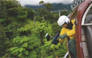 Paintball gun herbicide warfare 