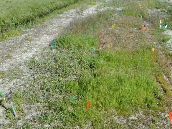 Treated vs Untreated