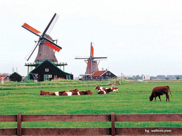 windmills
